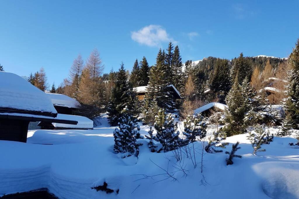 Chalet Wulli In Der Naehe Der Skianlagen Savognin Buitenkant foto