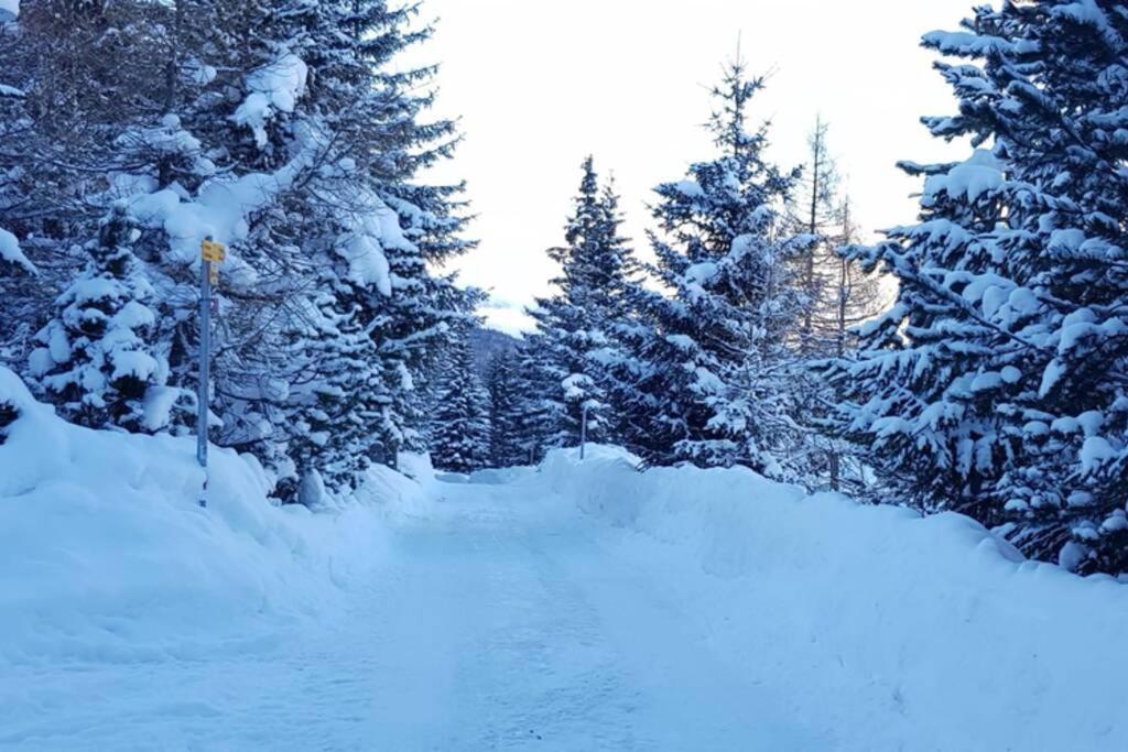 Chalet Wulli In Der Naehe Der Skianlagen Savognin Buitenkant foto