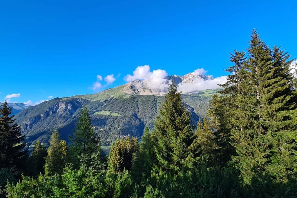 Chalet Wulli In Der Naehe Der Skianlagen Savognin Buitenkant foto