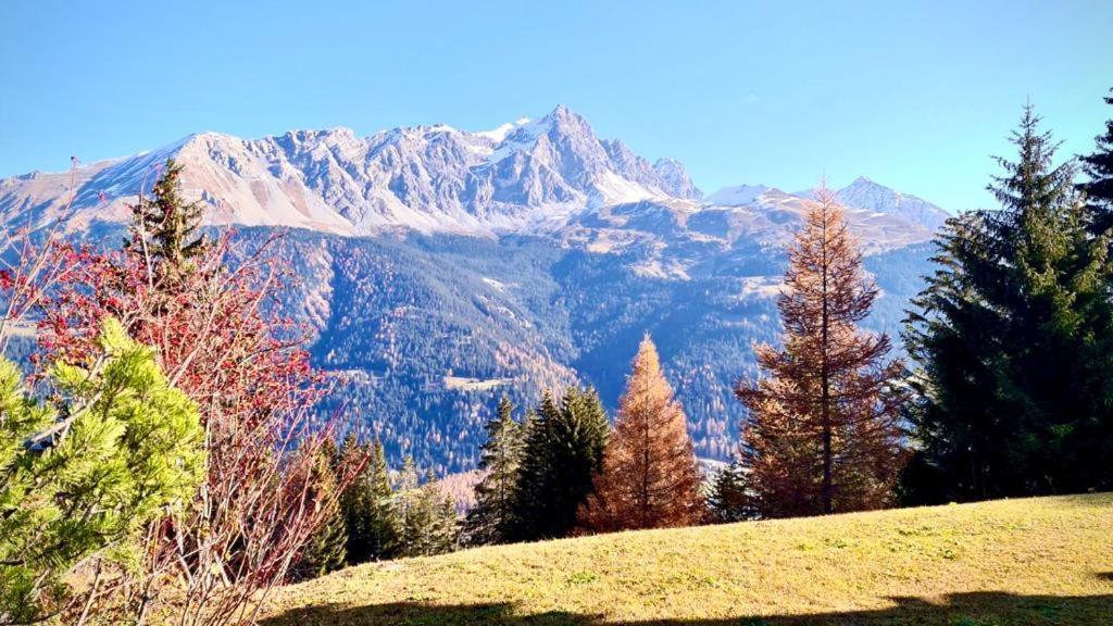 Chalet Wulli In Der Naehe Der Skianlagen Savognin Buitenkant foto