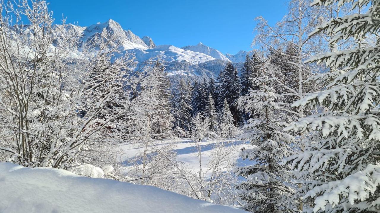 Chalet Wulli In Der Naehe Der Skianlagen Savognin Buitenkant foto