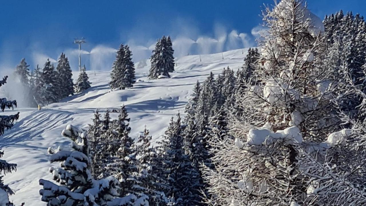 Chalet Wulli In Der Naehe Der Skianlagen Savognin Buitenkant foto